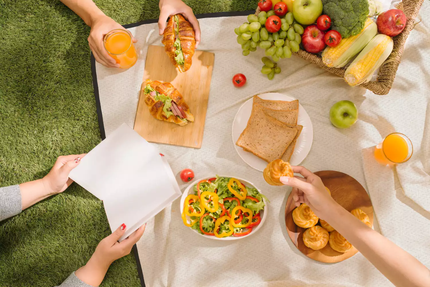 modern picnic blanket