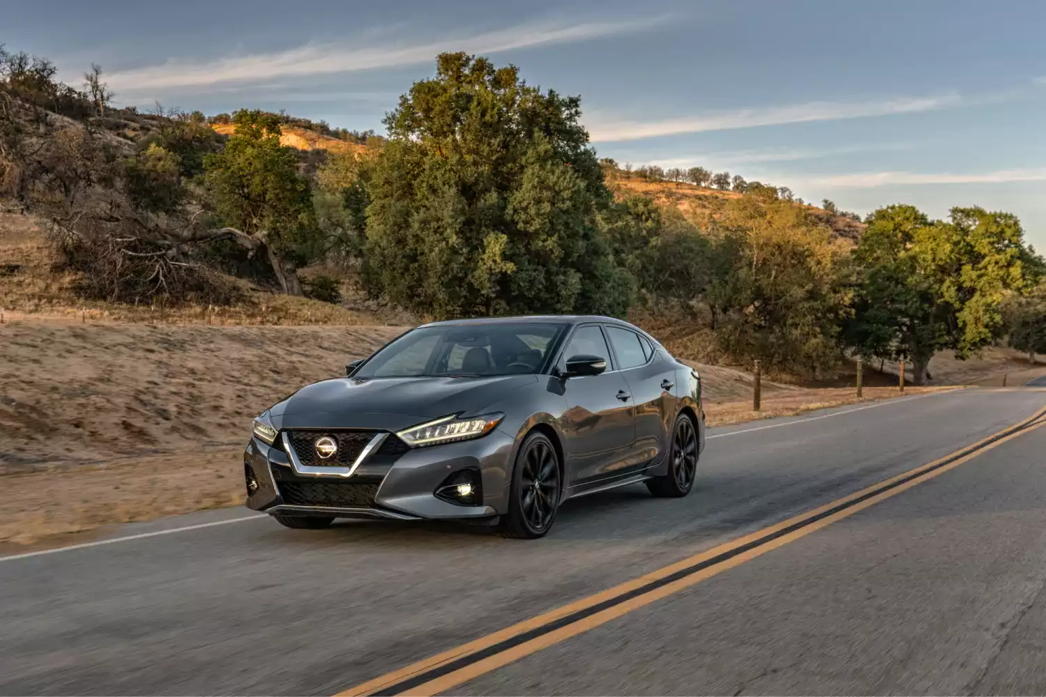 Nissan Maxima car trash can